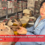 İstanbul’un altında büyük sır! ‘Avcılar, Küçükçekmece kıyısında ilginç buluntularla karşılaşıyoruz’